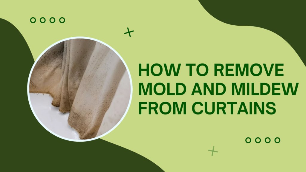 Mold and Mildew
