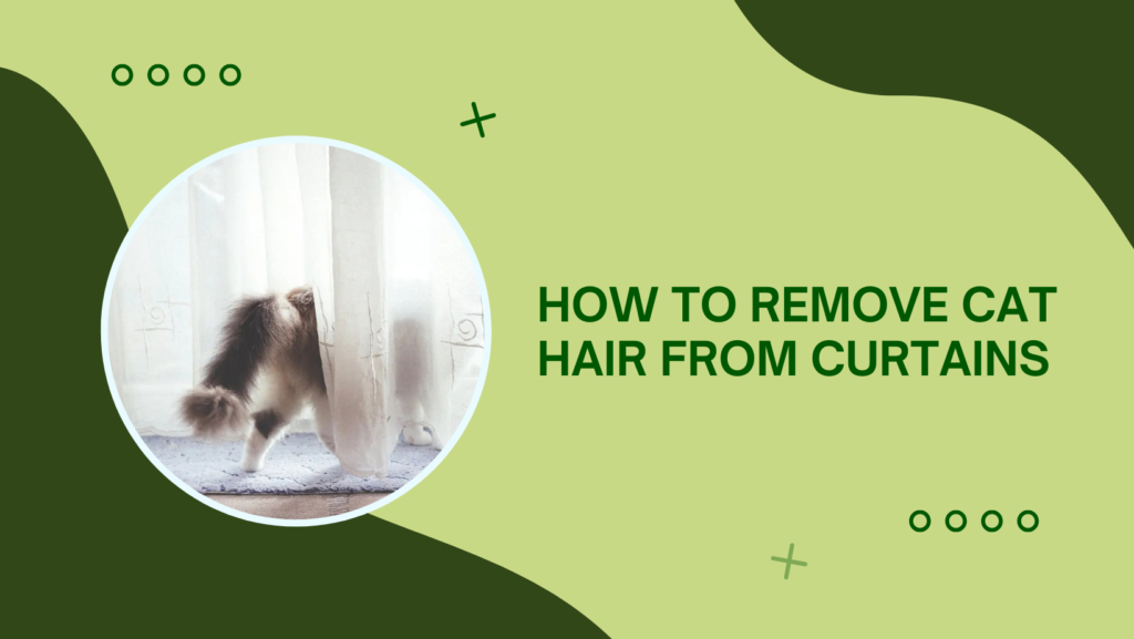 Remove Cat Hair from Curtains